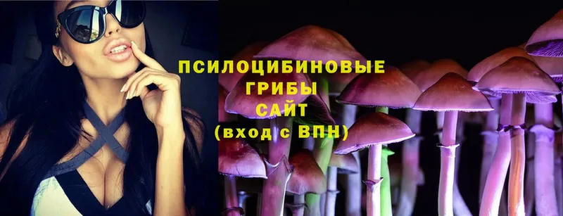 что такое наркотик  Беслан  Галлюциногенные грибы Psilocybine cubensis 